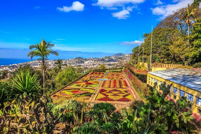Transoceanic Air Offer Madeira